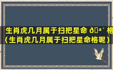 生肖虎几月属于扫把星命 🪴 格（生肖虎几月属于扫把星命格呢）